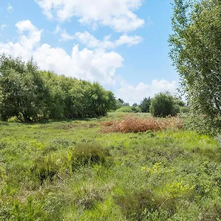 2006-romo-vestermarksvej-1 * Toftum (Syddanmark)